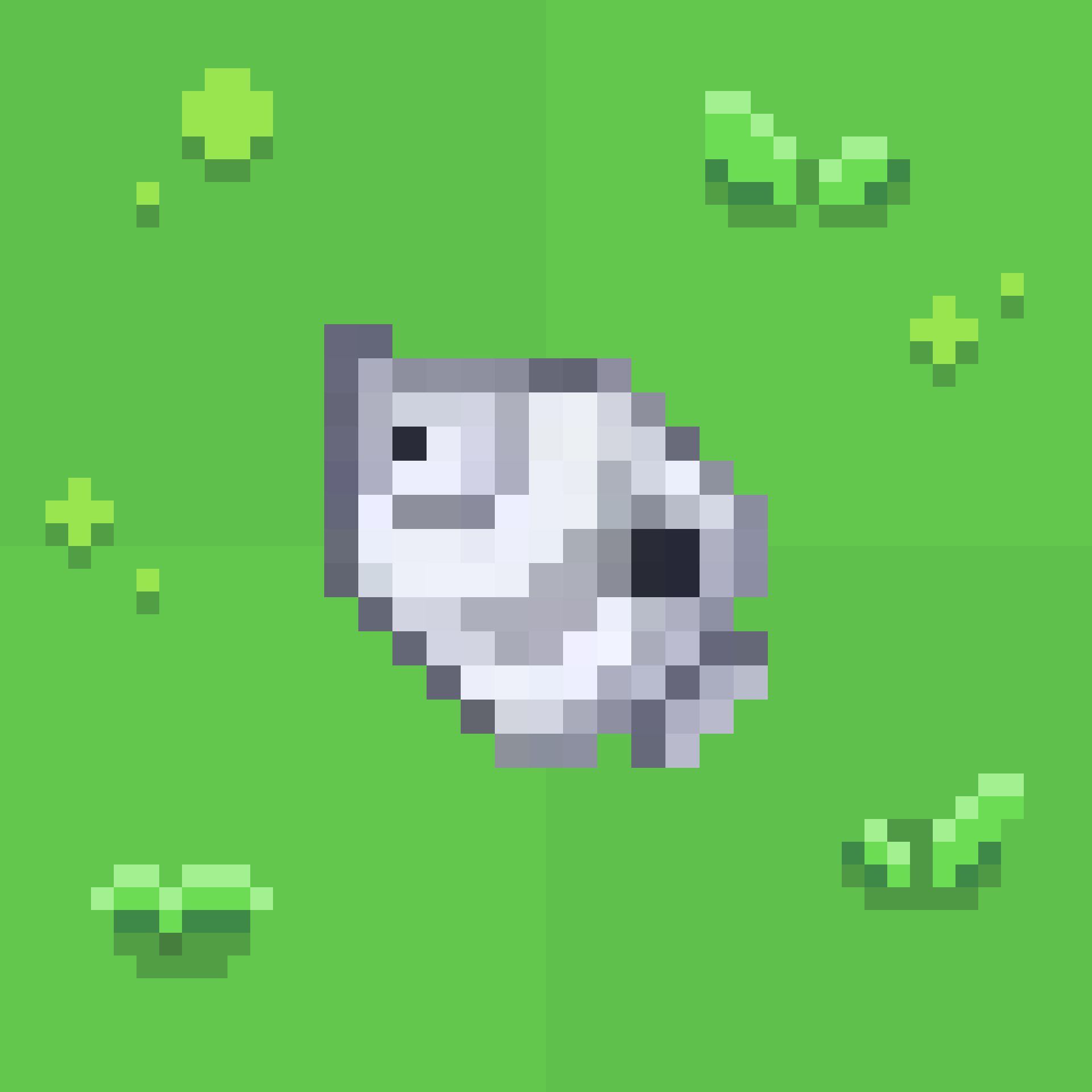 Aged Butterflyfish